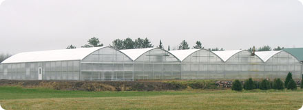 Poly Covering Options by United Greenhouse Systems