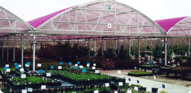 Capitol Crown - Design and Customize Greenhouse Structures