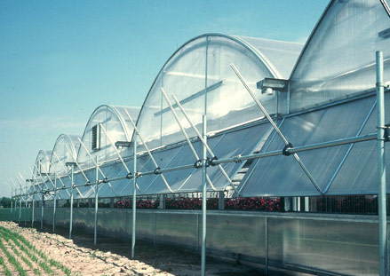 Statesman Greenhouse