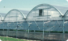 StatesMan™ Greenhouse