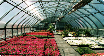 Photo 3 - Diplomat™ Structure by United Greenhouse Systems