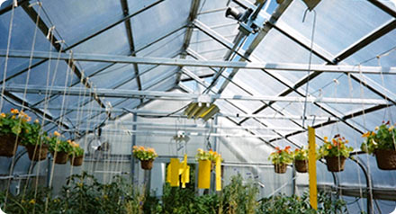 GreenMaster™ Structure by United Greenhouse Systems