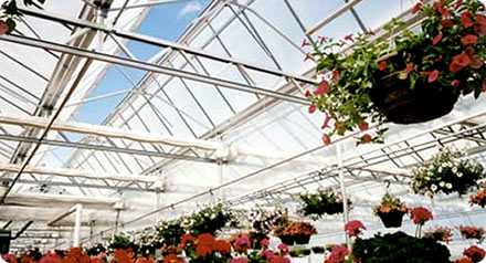 VenLite™ Structure by United Greenhouse Systems